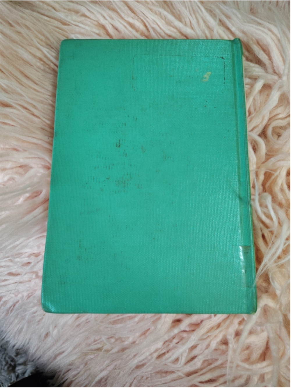A Spy in Old Detroit by Anne Emery 1963 HC NO dust jacket Ex Library Book - Picture 2 of 15